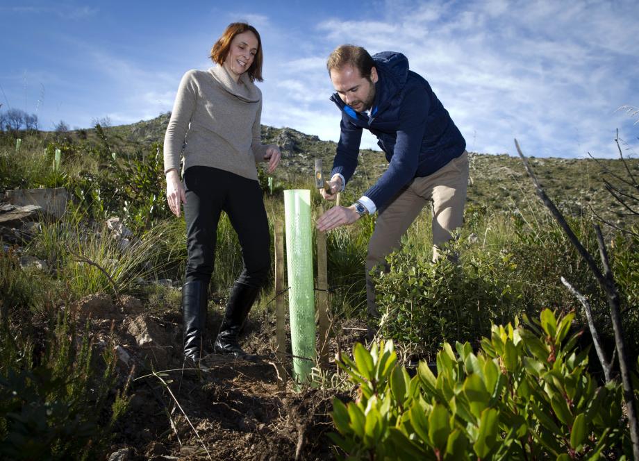 The General Director of the Natural Environment, Environmental Education and Climate Change for the Balearic Islands, Neus Lliteras, and Red Eléctrica’s Regional Delegate on the Islands, Eduardo Maynau, participating in the reforestation of Sa Duaia.