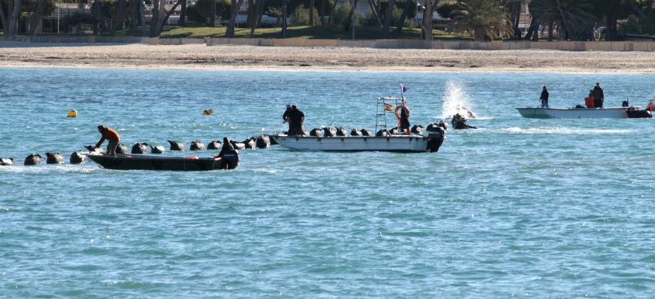 Un equipo de buzos se encarga de guiar el extremo del cable eléctrico hasta la playa de Santa Ponsa, en Mallorca, en el tendido del tercer cable submarino entre la Península y Baleares.