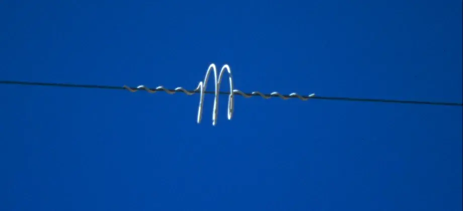 Espiral salvapájaros alt