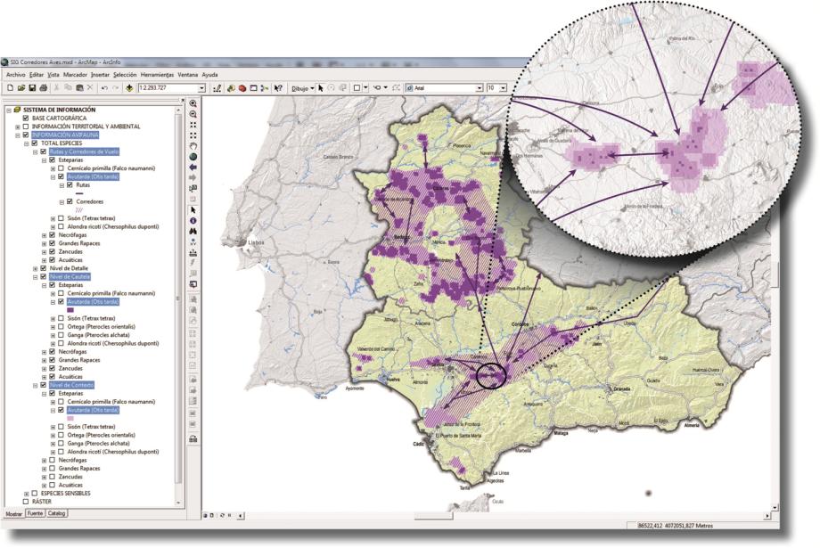 The Geographic Information System of the project ‘Mapping of bird flight paths’ allows the data available to be consulted with different levels of accuracy for decision making at different phases of the project.