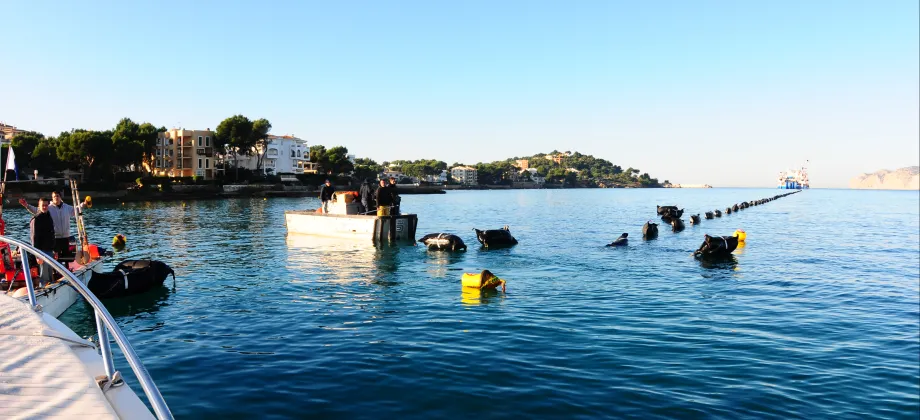 Tendido del cable submarino con la ayuda de flotadores en la bahía de Santa Ponsa, en Mallorca.
