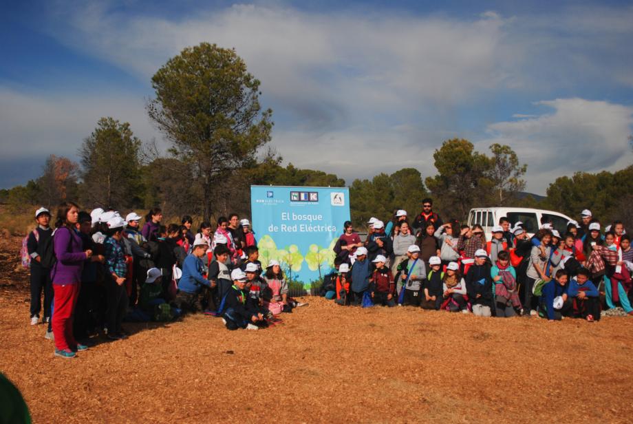 Participating volunteers in one of the sessions on environmental education and reforestation of the Red Eléctrica Forest in Hellín.