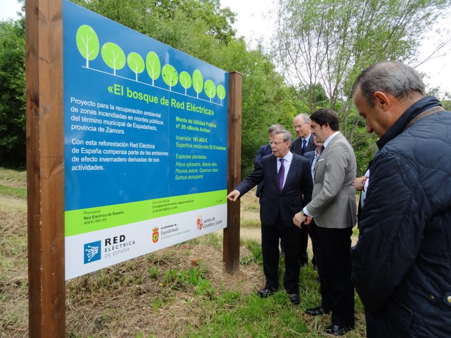 Red Eléctrica’s Chairman, José Folgado, next to the informative board regarding ‘The Carballeda’ Red Eléctrica Forest alongside the Minister of Public Works and the Environment of the Regional Government of Castilla y Leon, Juan Carlos Suárez-Quiñones.