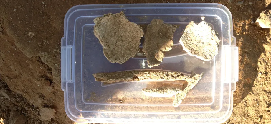 Yacimientos arqueológicos en Can Malat (Ibiza)