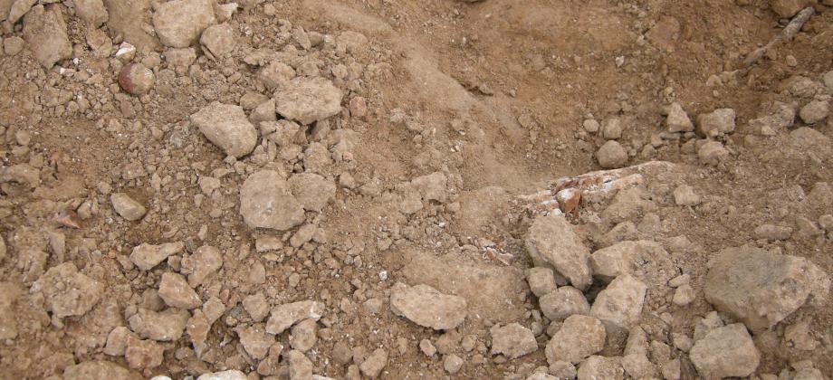 Yacimientos arqueológicos en Can Malat (Ibiza)