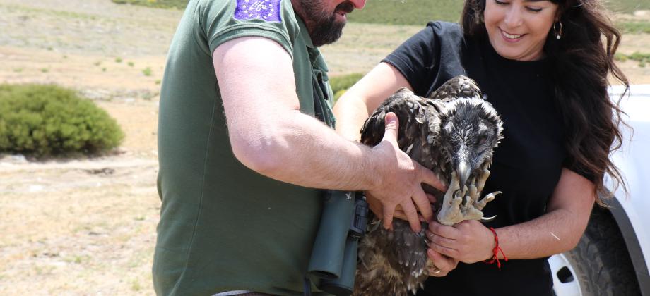 Dos personas sujetando un quebrantahuesos