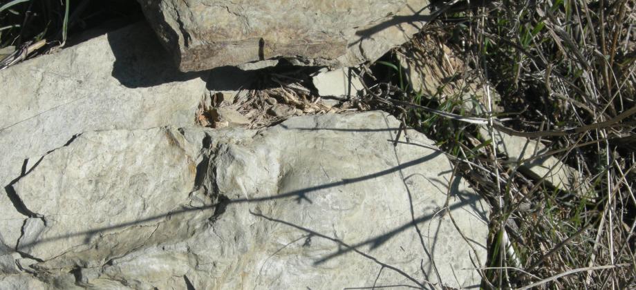 First footprints found at the site in the Ichnites I Zone.