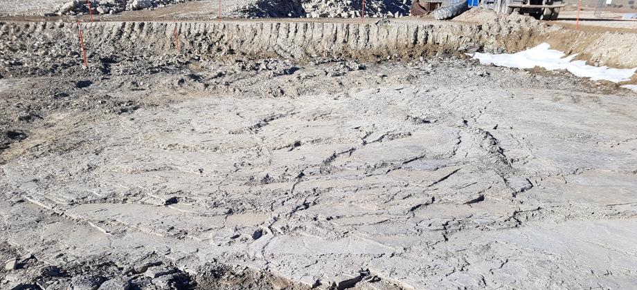 Initial manual cleaning of Ichnites I for subsequent excavation.