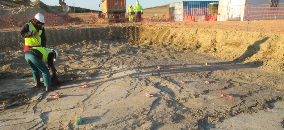 Excavación de Icnitas I y posicionamiento de icnofósiles hallados.