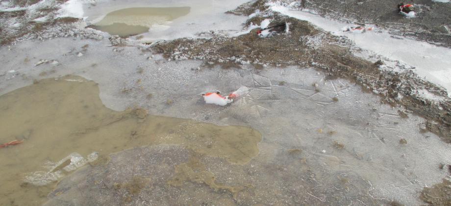 Hielo cubriendo el yacimiento.