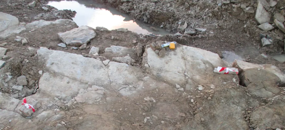 Descubrimiento de Icnitas II.