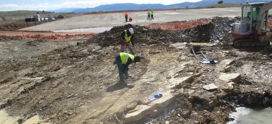 Limpieza manual de Icnitas II.