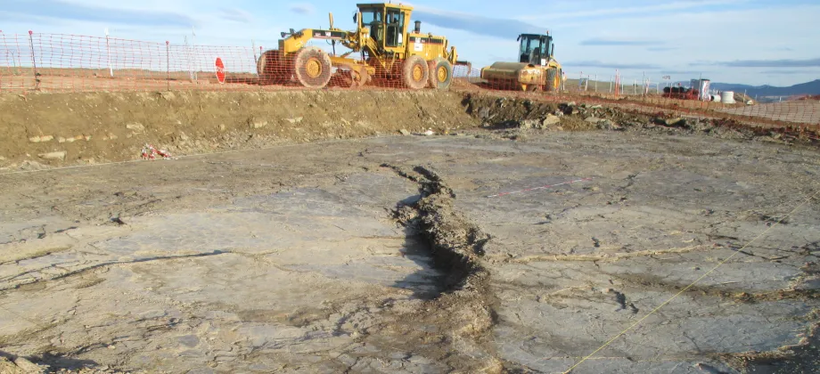 Aspecto final de Icnitas I.