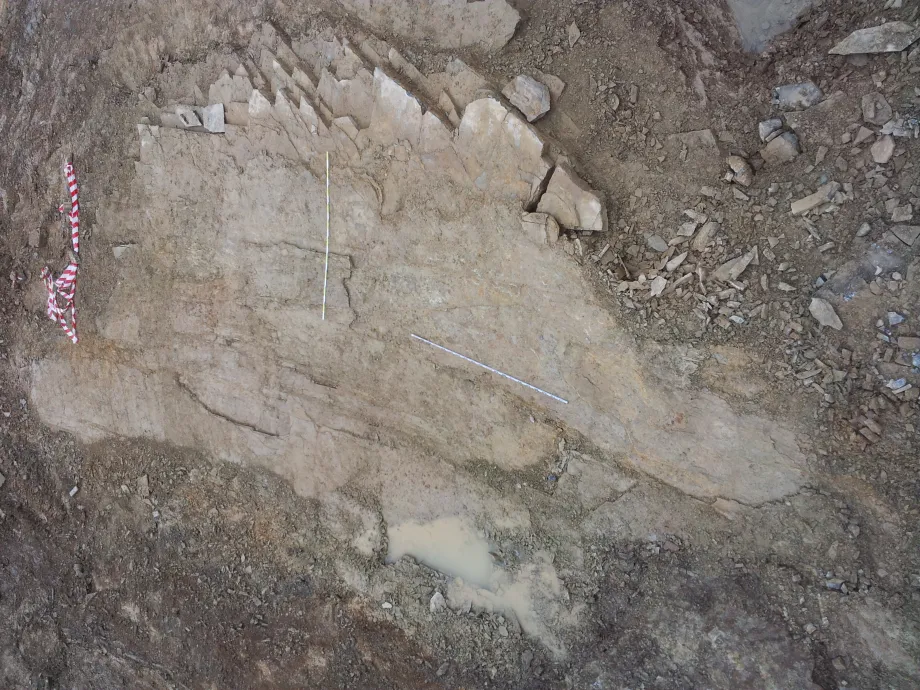 Aspecto final de Icnitas II.