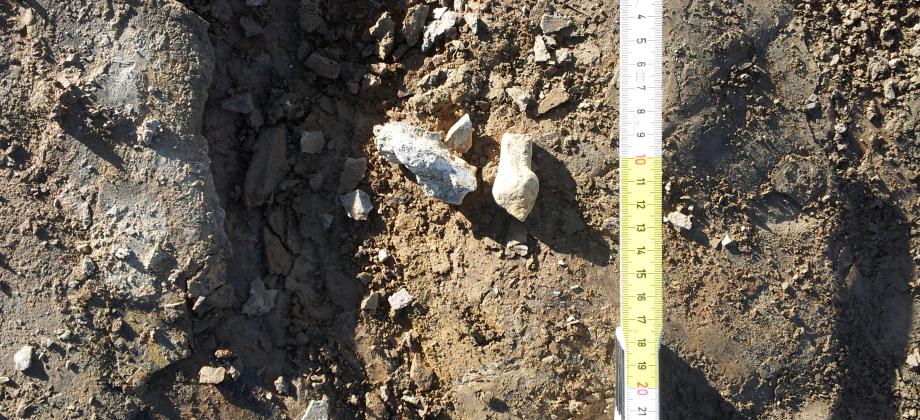 Fragmentos óseos indeterminados localizados en la base de la Unidad 7.