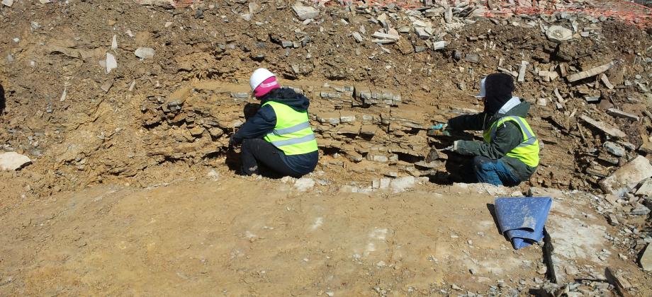 Profile cleaning for geological characterisation of the site