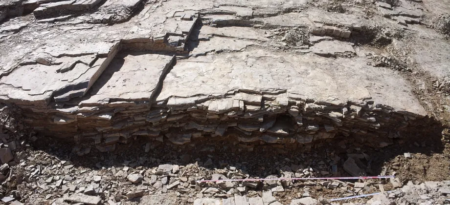 Núcleo del pliegue mayor del yacimiento.