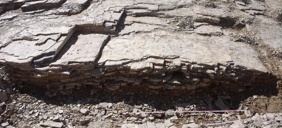 Core of the major fold of the site