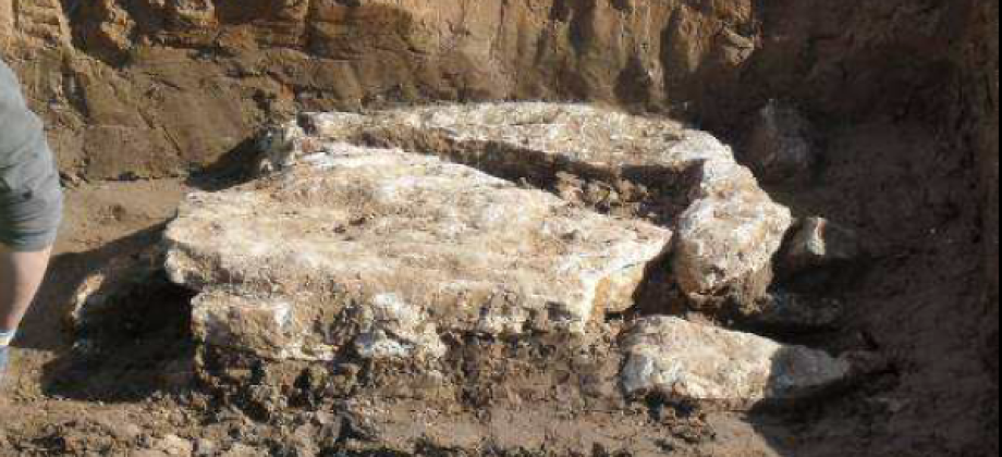 Intervención arqueológica en el yacimiento de Sequer de San Bernat en Alzira (Valencia)