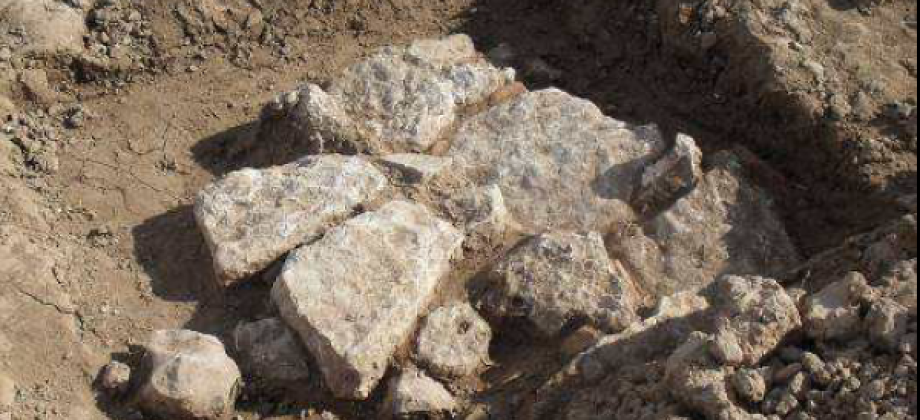 Intervención arqueológica en el yacimiento de Sequer de San Bernat en Alzira (Valencia)