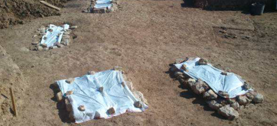 Intervención arqueológica en el yacimiento de Sequer de San Bernat en Alzira (Valencia)