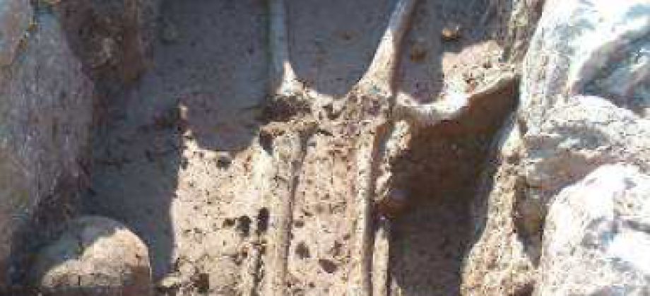 Intervención arqueológica en el yacimiento de Sequer de San Bernat en Alzira (Valencia)