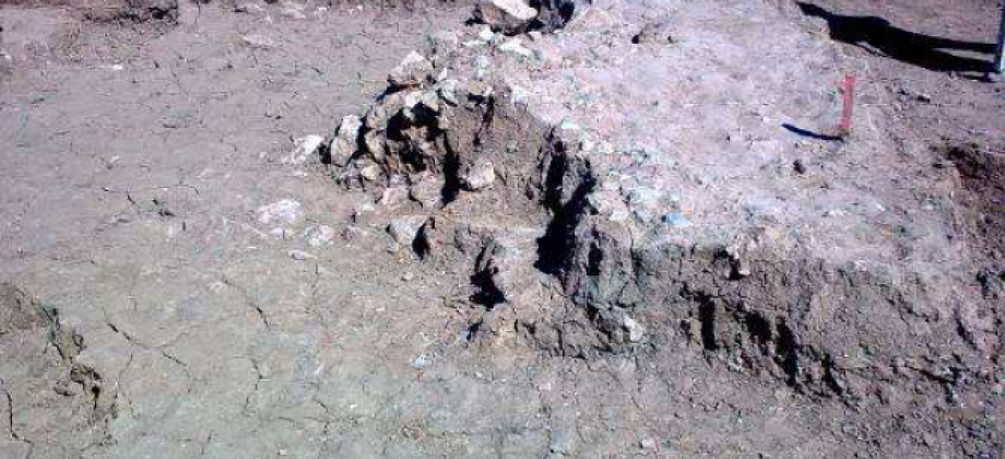 Intervención arqueológica en el yacimiento de Sequer de San Bernat en Alzira (Valencia)