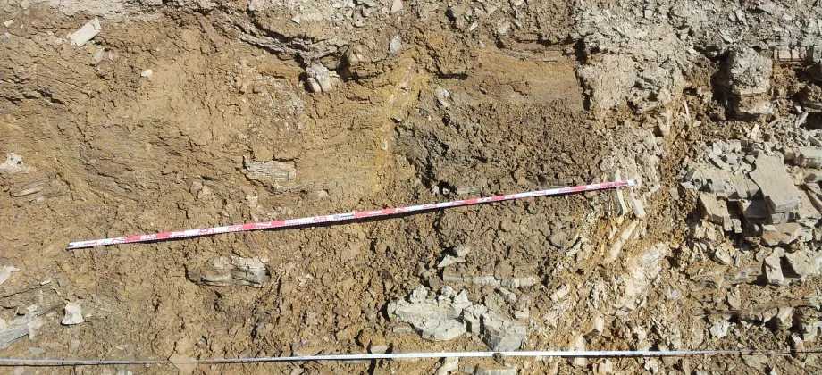 Familia de fallas con deformación de niveles (izq.) asociadas al pliegue mayor (dcha.)