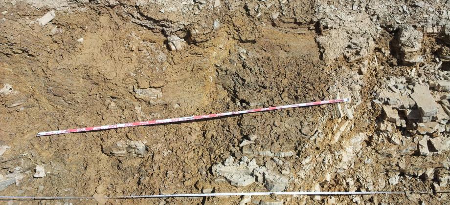 Family of level-deformed faults (left) associated with the major fold (right)