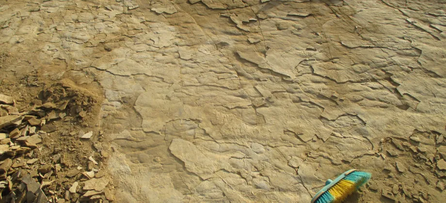 Scour Marks en el techo de la Unidad 4.