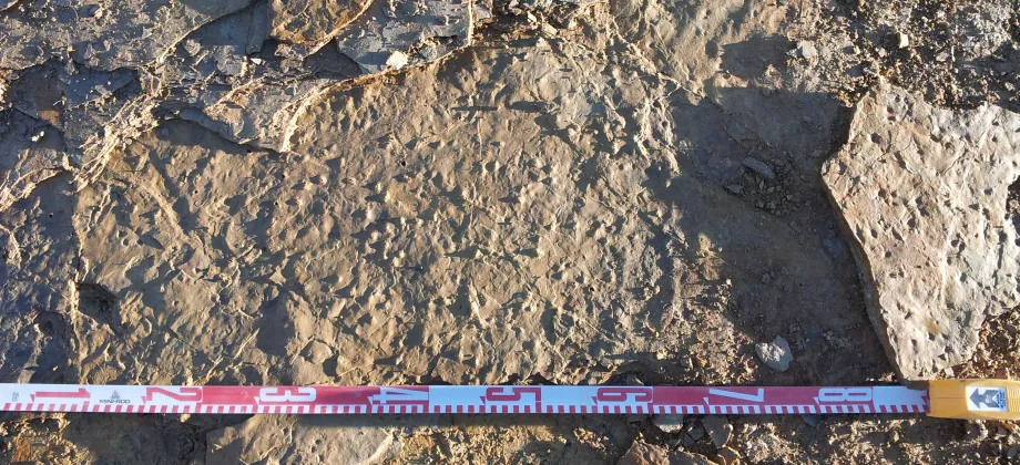 Marcas de burbujas en la base de la Unidad 2.