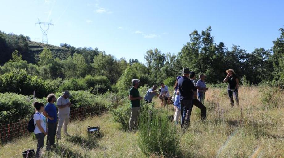 Participantes en las II Jornadas Pastoreo en las redes conocen el proyecto de campo