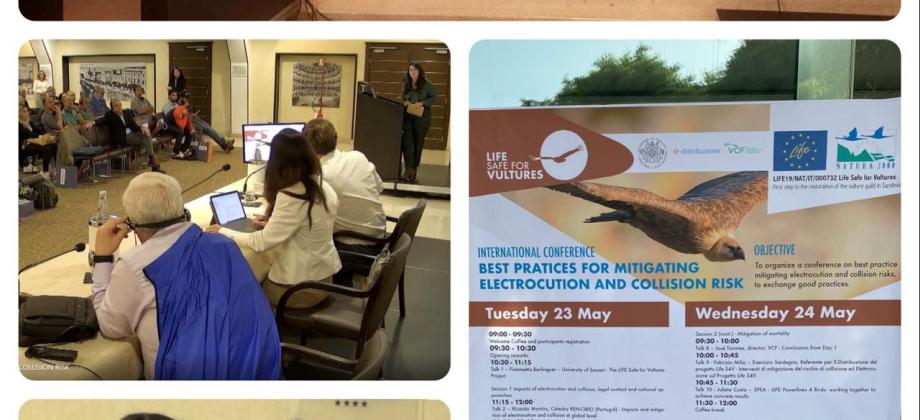 Congreso Medioambiental en Cerdeña