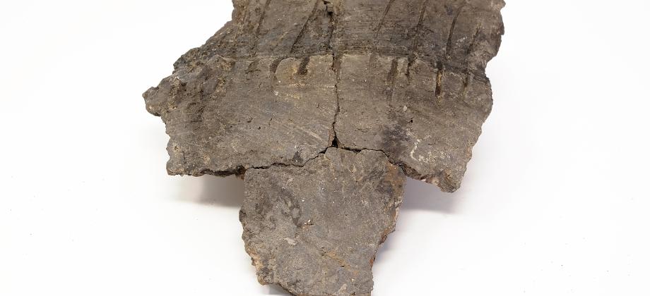 Yacimiento de Los Villares de Andújar (Jaén)