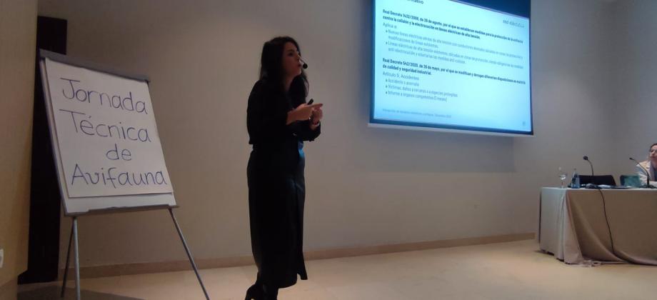 Formación a representantes de Administraciones Públicas y ONG en Fuerteventura, Lanzarote y Tenerife 