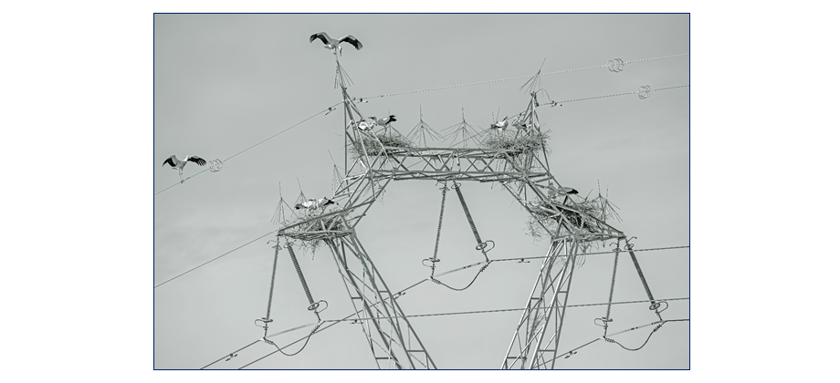 Segundo premio - “No hay billetes” de Kristin Pineda