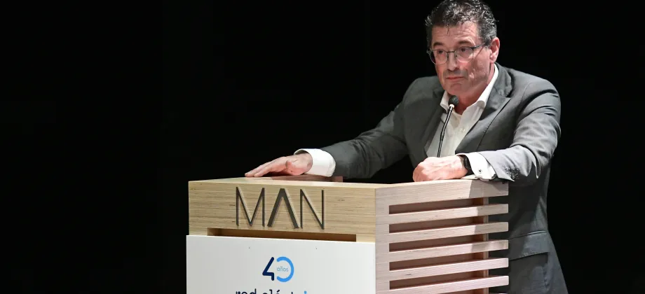 El director de Apoyo al Desarrollo de las Instalaciones de Red Eléctrica, Luis Velasco, durante la clausura de las jornadas.